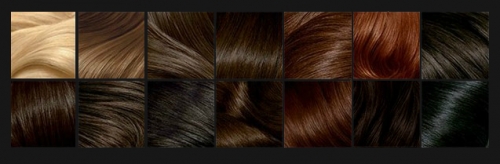 Palette hair color shades